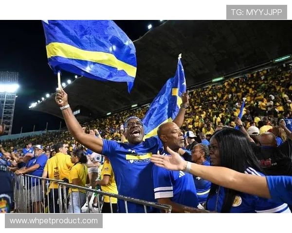 38亿人也难成足球强国人口前十大国中七国无缘世界杯