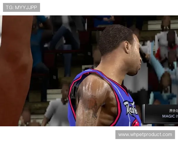 我对便士和麦迪的录像情有独钟布兰登罗伊是我心中的篮球偶像