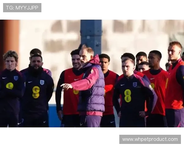 图赫尔对小组抽签表达担忧希望避开哥伦比亚挪威和加纳