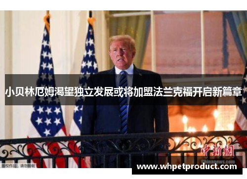 小贝林厄姆渴望独立发展或将加盟法兰克福开启新篇章