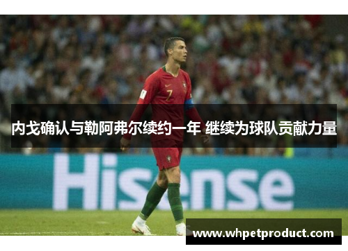 内戈确认与勒阿弗尔续约一年 继续为球队贡献力量