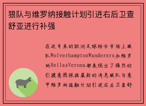 狼队与维罗纳接触计划引进右后卫查舒亚进行补强